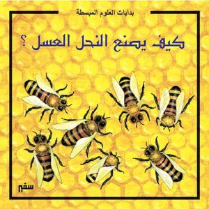 بدايات العلوم المبسطة